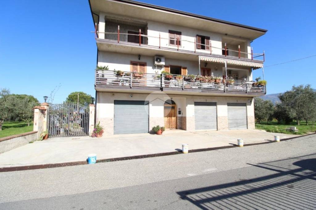 immagine annuncio 1 di 14