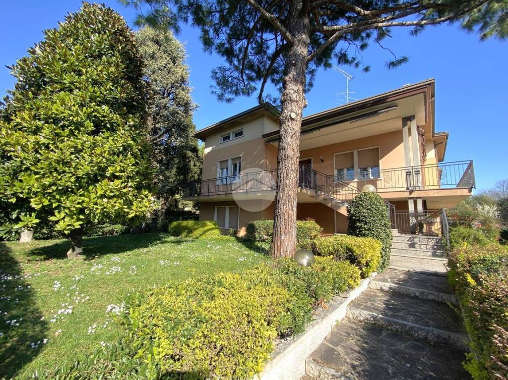 immagine annuncio 7 di 12