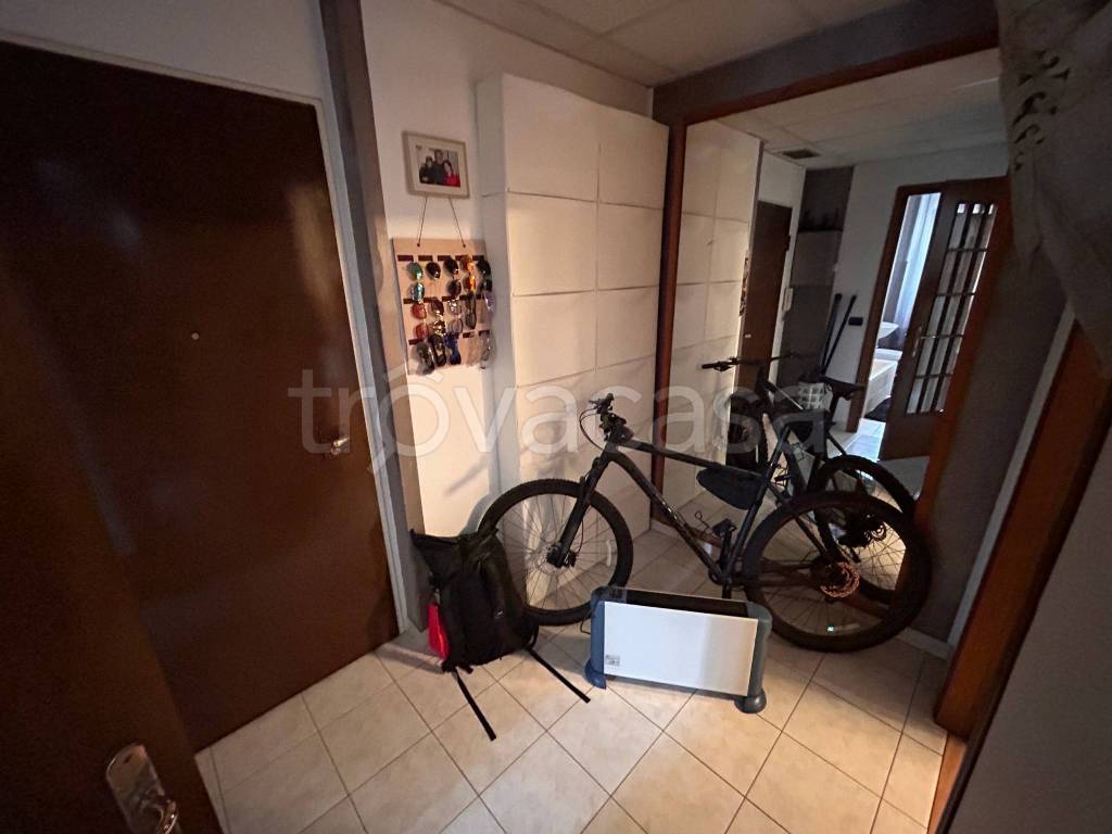 immagine annuncio 6 di 14