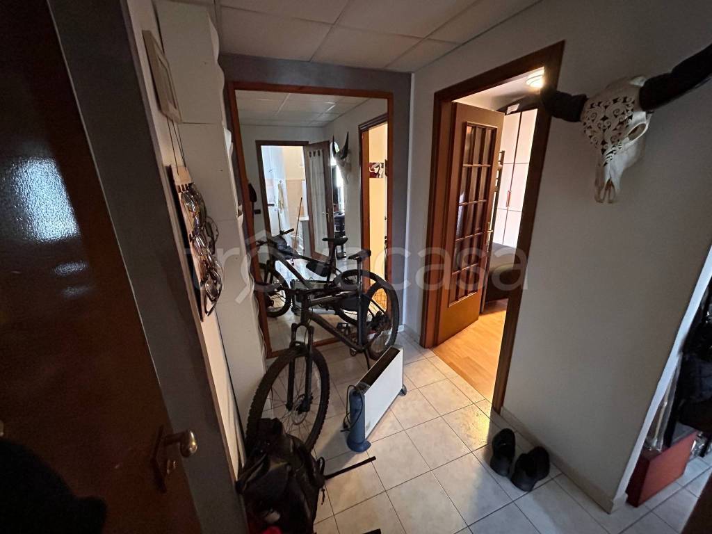 immagine annuncio 7 di 14