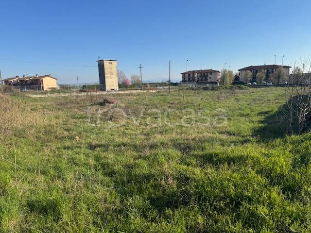 immagine annuncio 5 di 11