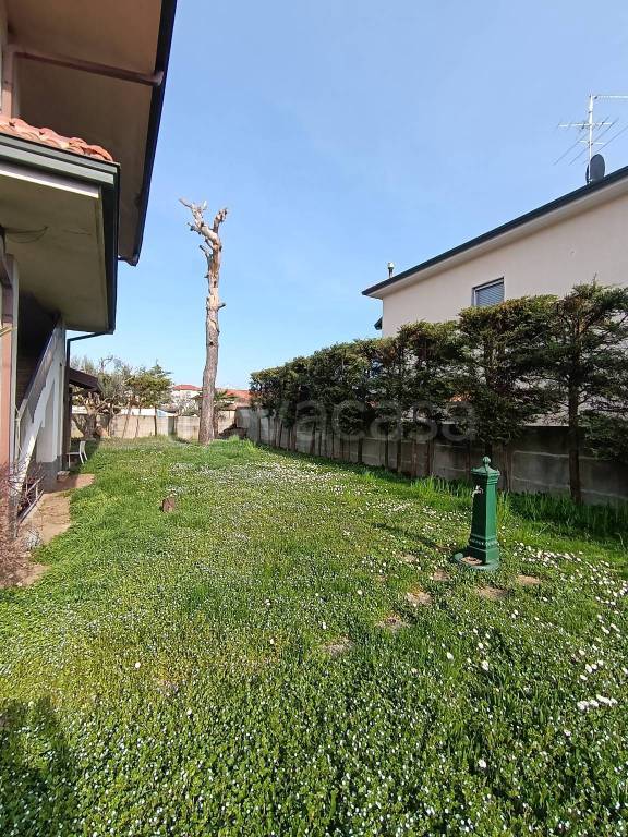 immagine annuncio 7 di 15