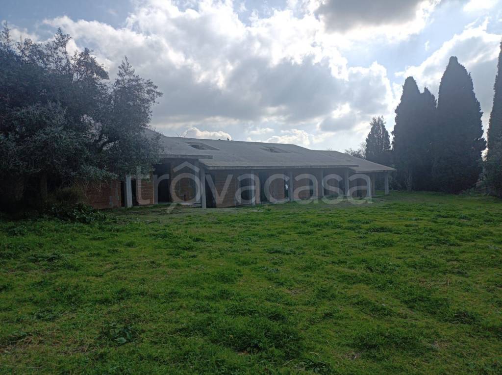 immagine annuncio 8 di 11
