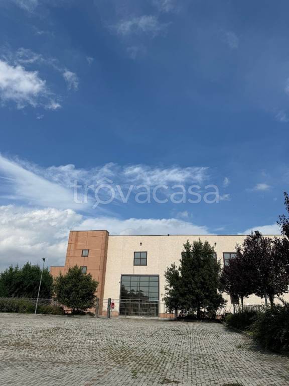 immagine annuncio 1 di 7