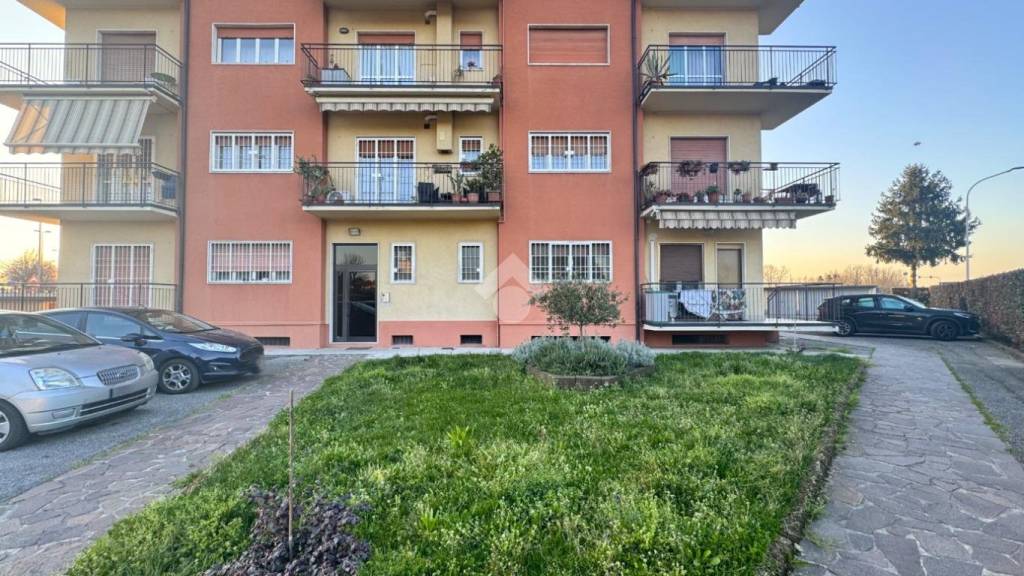 immagine annuncio 9 di 15