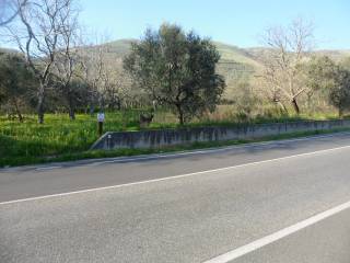 Terreno agricolo in vendita a forchia strada statale 7, 106