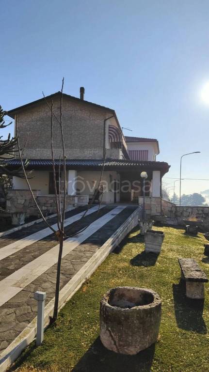 immagine annuncio 12 di 13