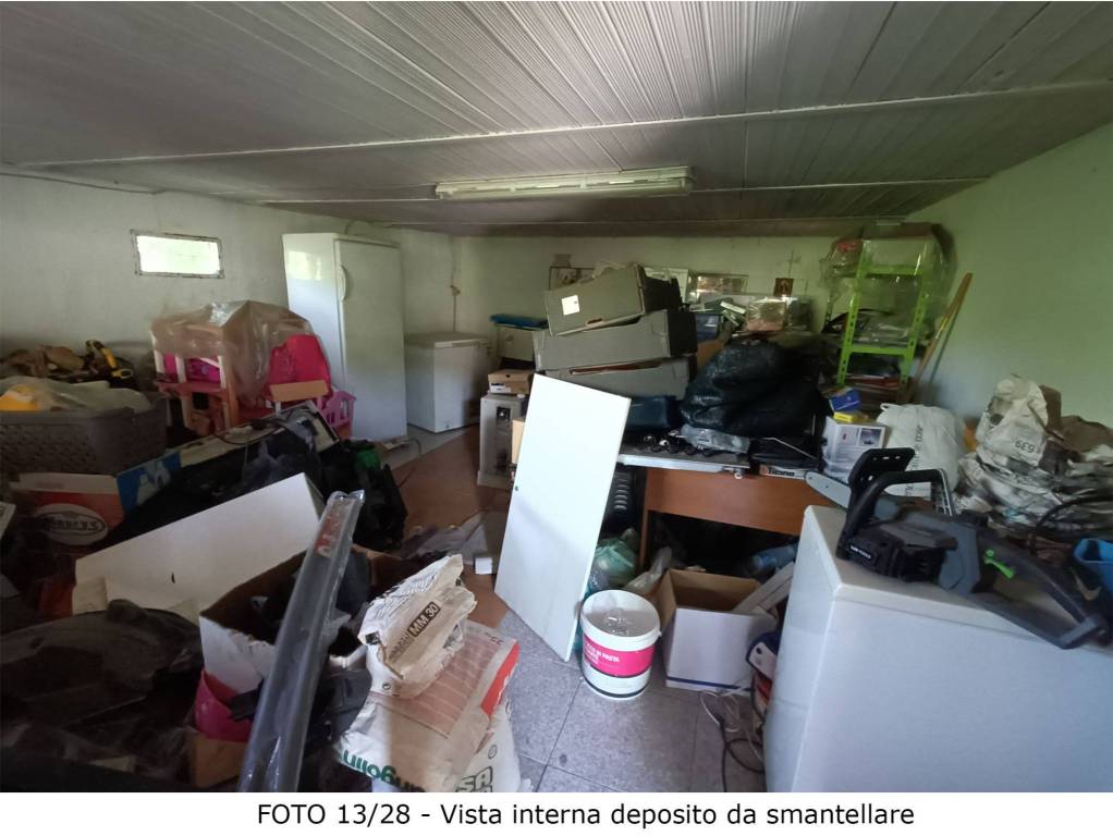 immagine annuncio 2 di 12
