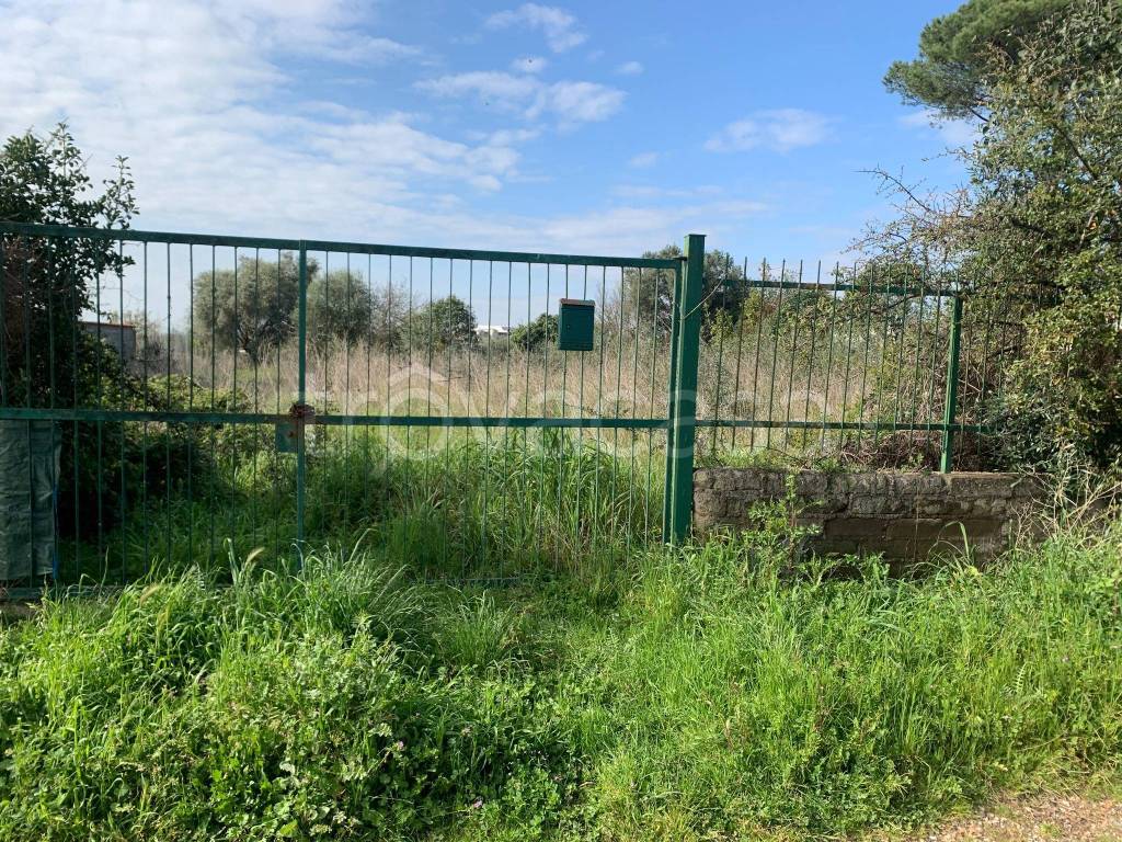 immagine annuncio 1 di 6