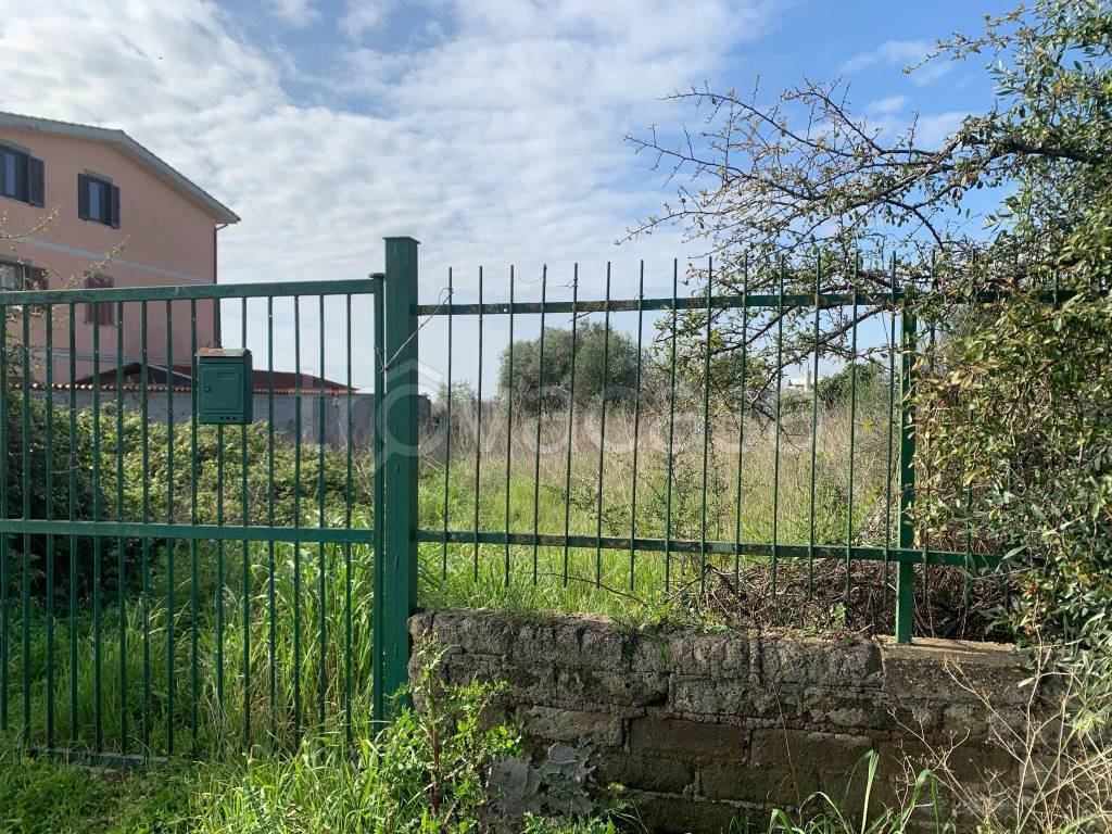 immagine annuncio 2 di 6