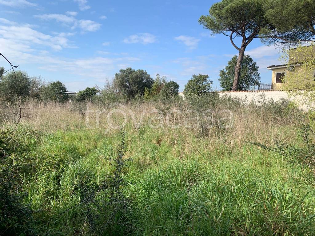 immagine annuncio 3 di 6