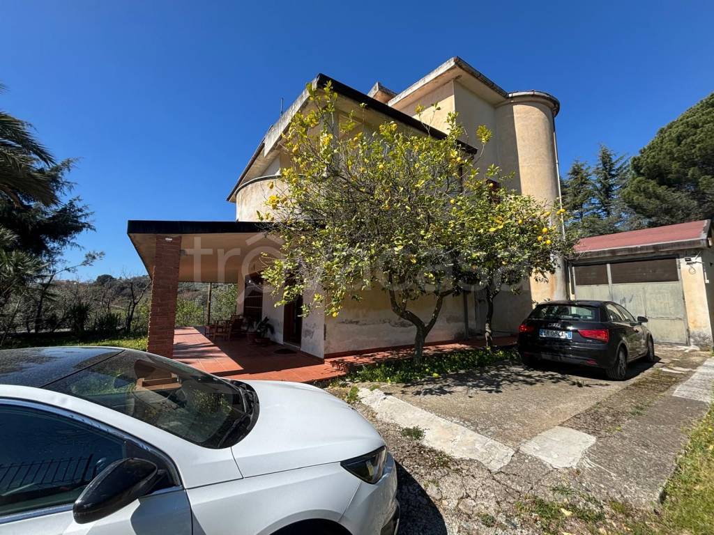 immagine annuncio 4 di 8