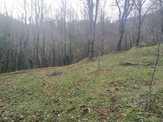 Terreno agricolo in vendita a monteforte irpino via acquolella s.n.c.