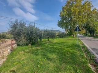 Terreno agricolo in vendita a casoli contrada vicenne