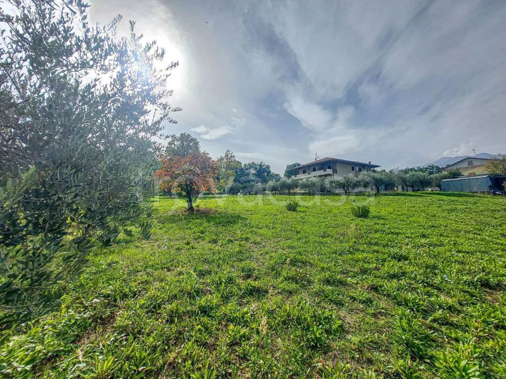immagine annuncio 11 di 15