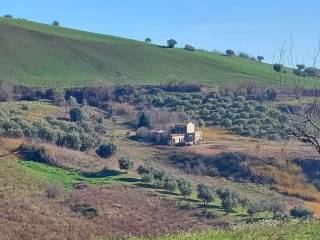 Terreno agricolo in vendita a castel frentano contrada vallone del lago s.n.c.