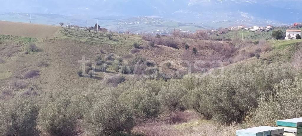 immagine annuncio 10 di 14