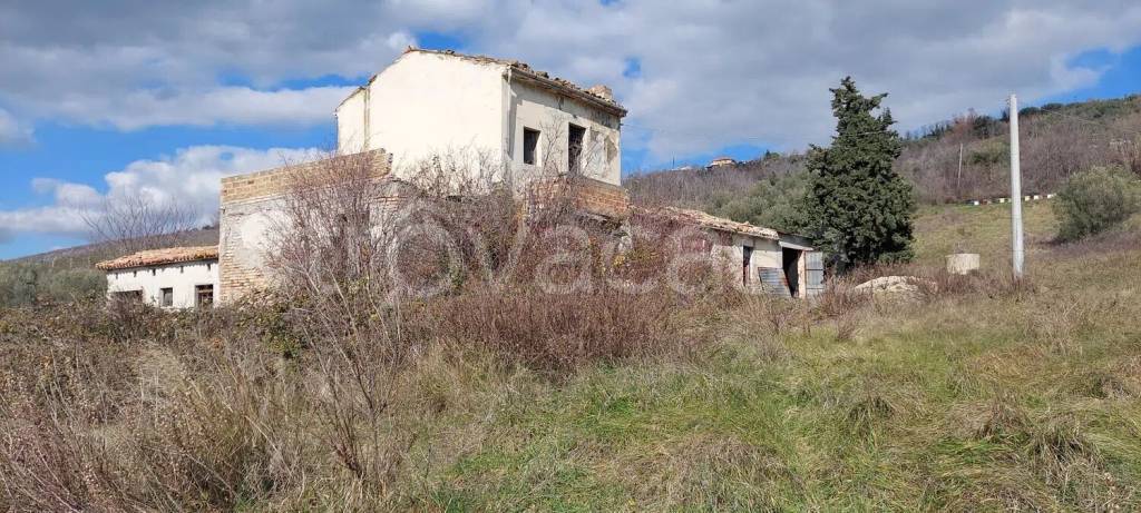 immagine annuncio 11 di 14