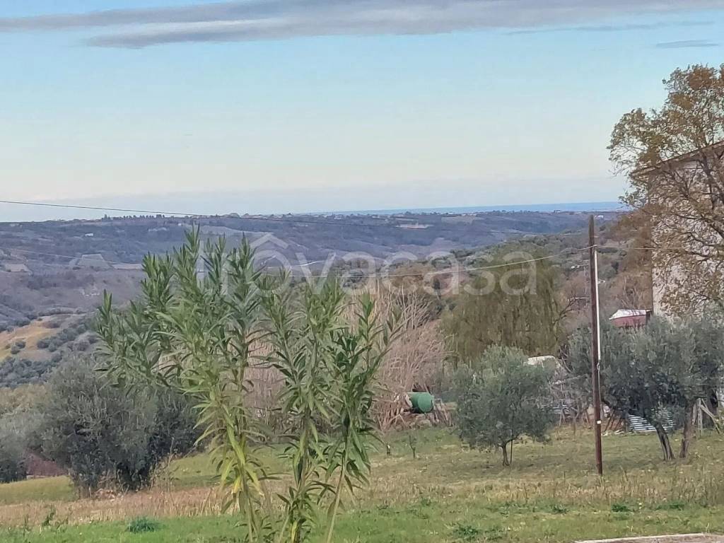 immagine annuncio 5 di 6