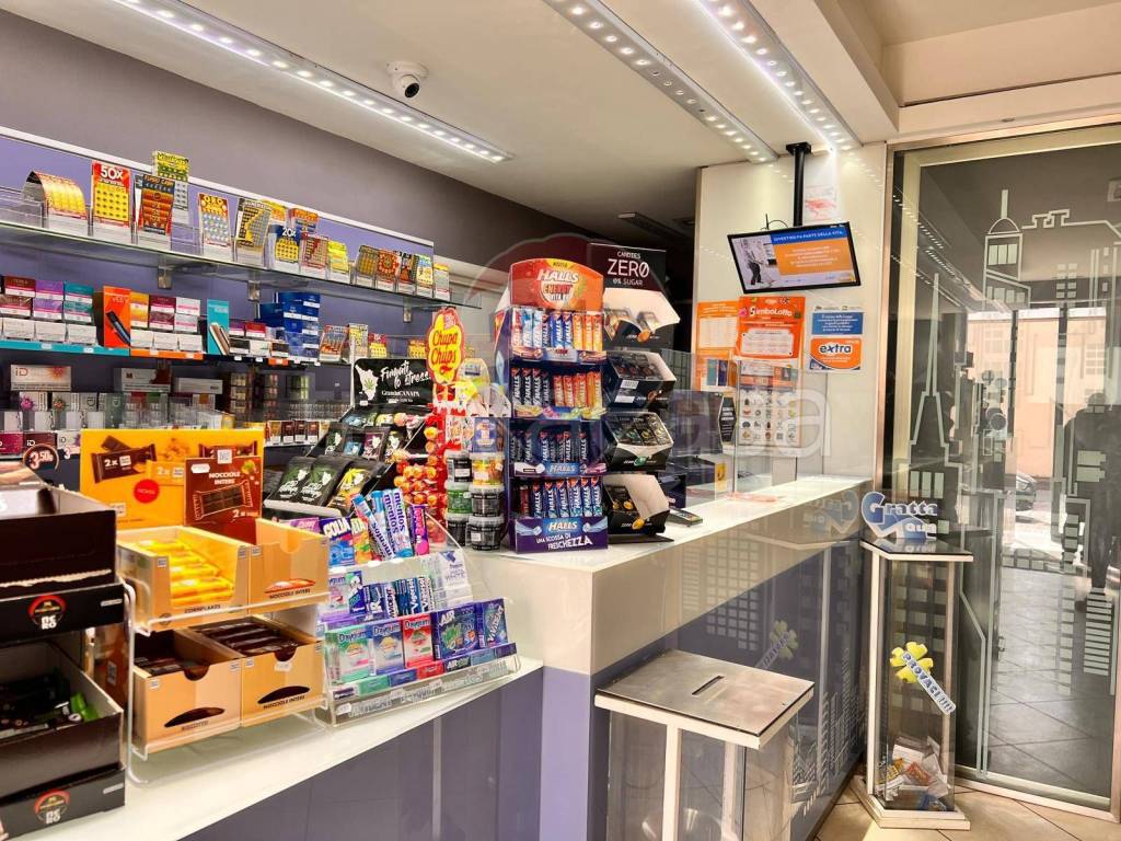 immagine annuncio 12 di 15