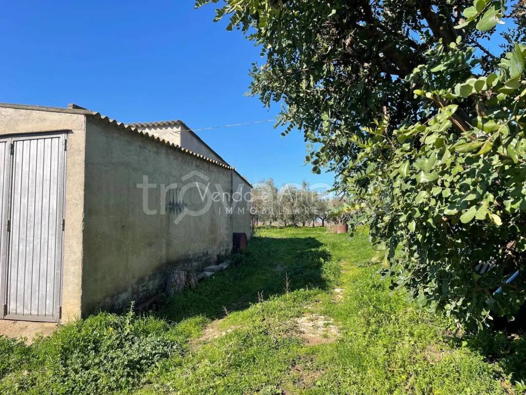 immagine annuncio 3 di 4