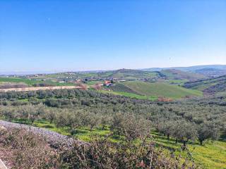 Terreno agricolo in vendita a sant'eusanio del sangro via cotti