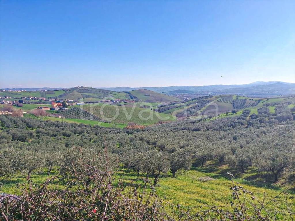 immagine annuncio 2 di 8