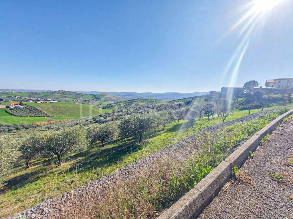 immagine annuncio 4 di 8