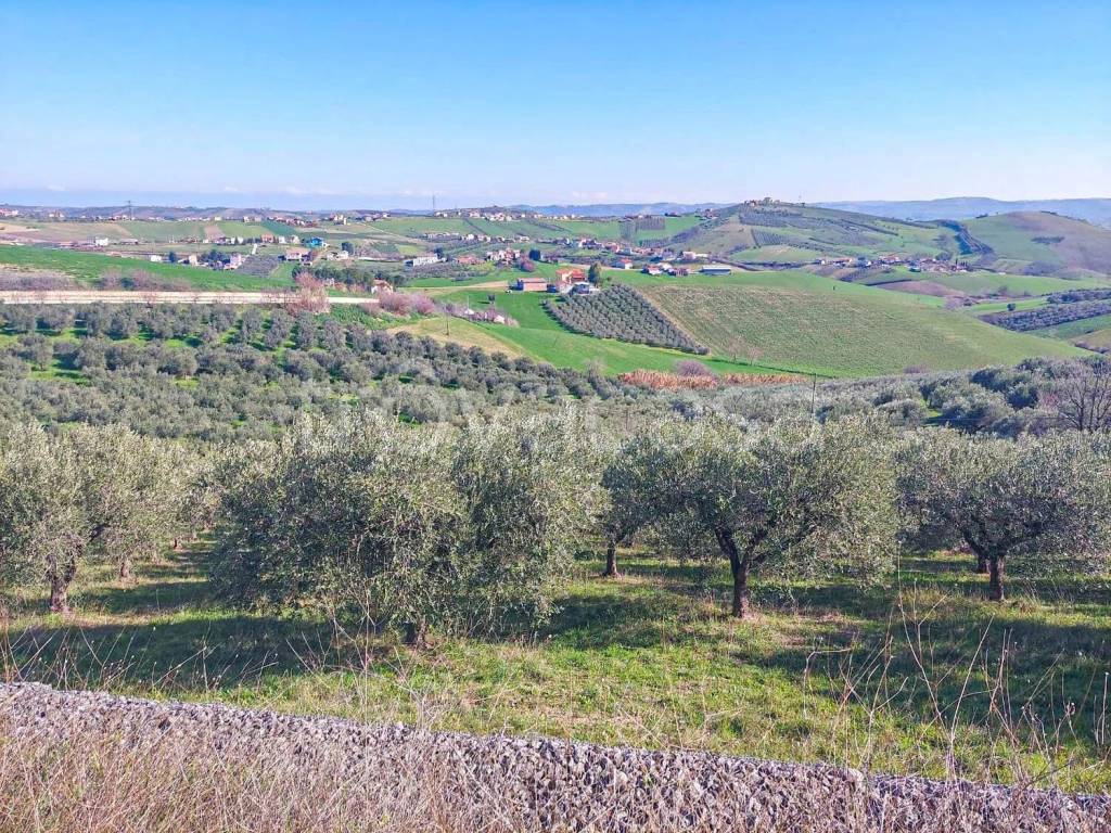 immagine annuncio 5 di 8