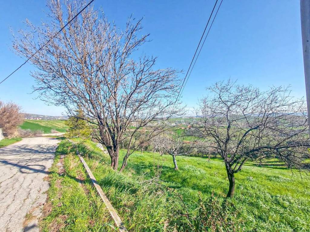 immagine annuncio 6 di 8