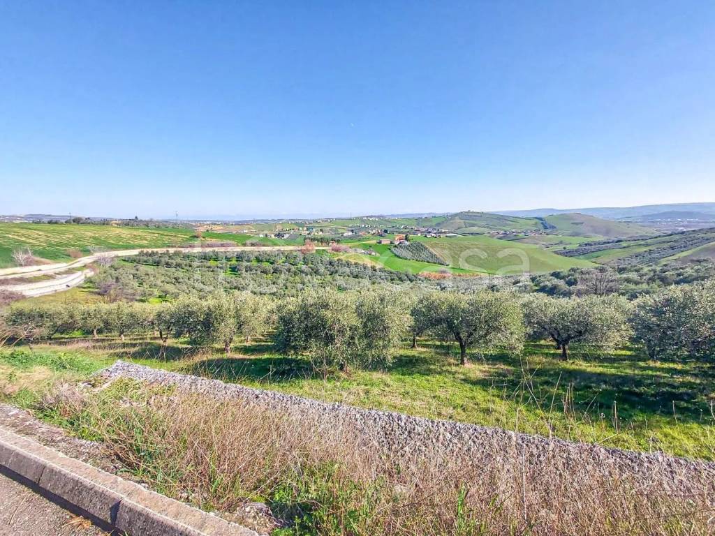 immagine annuncio 7 di 8