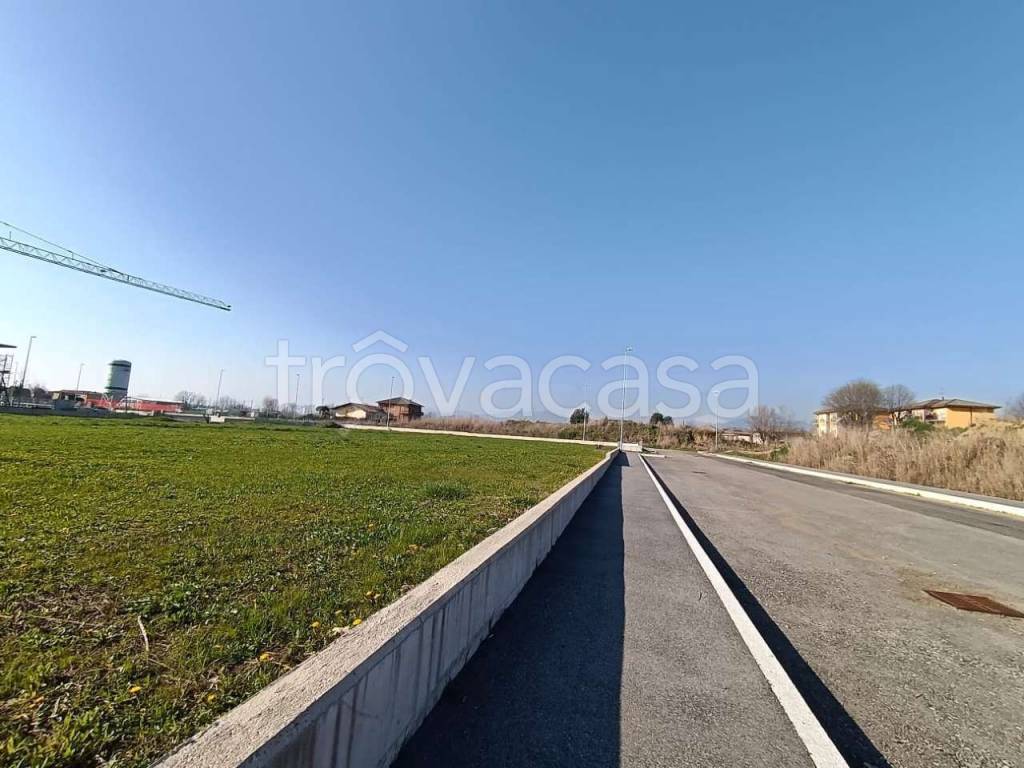 immagine annuncio 2 di 8