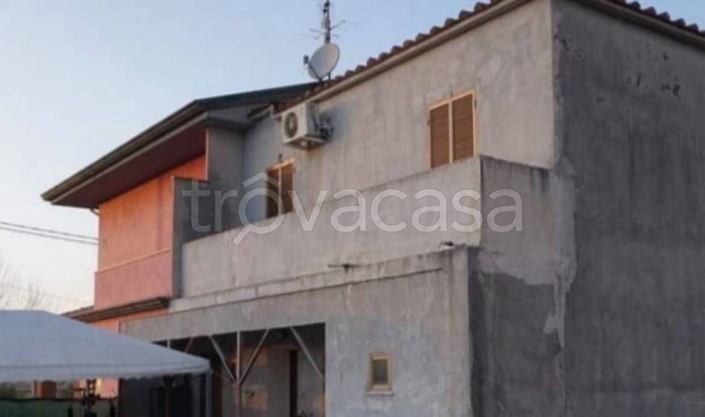 immagine annuncio 8 di 14