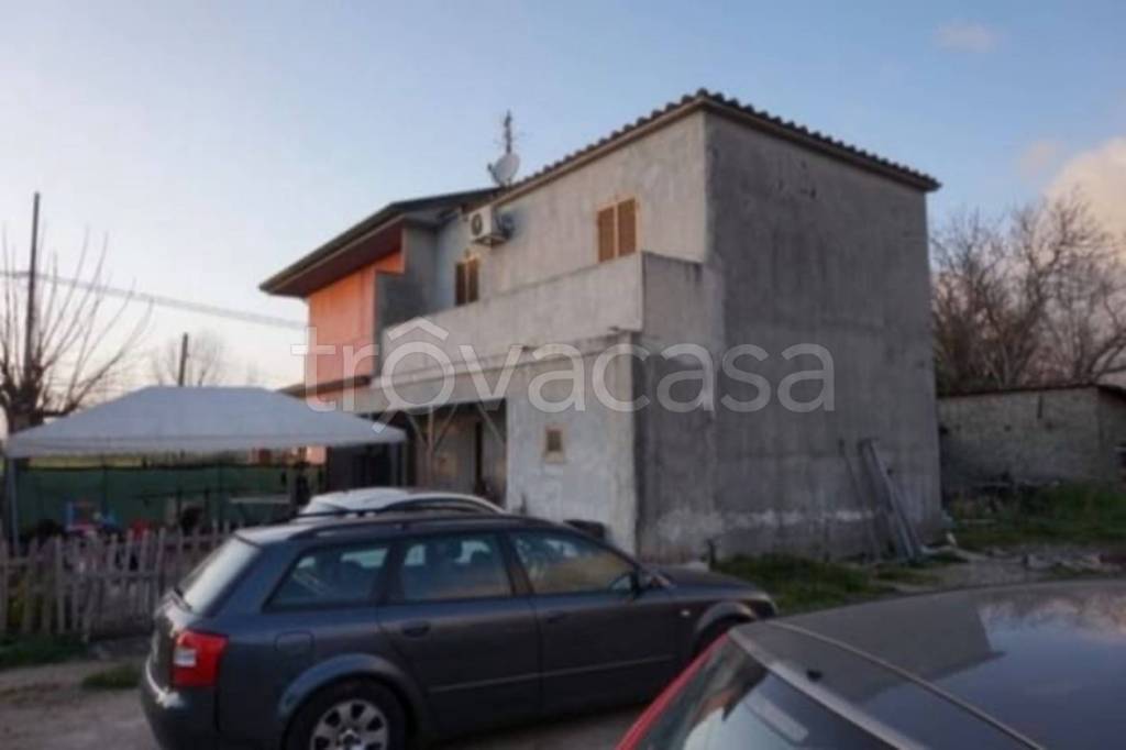 immagine annuncio 10 di 14