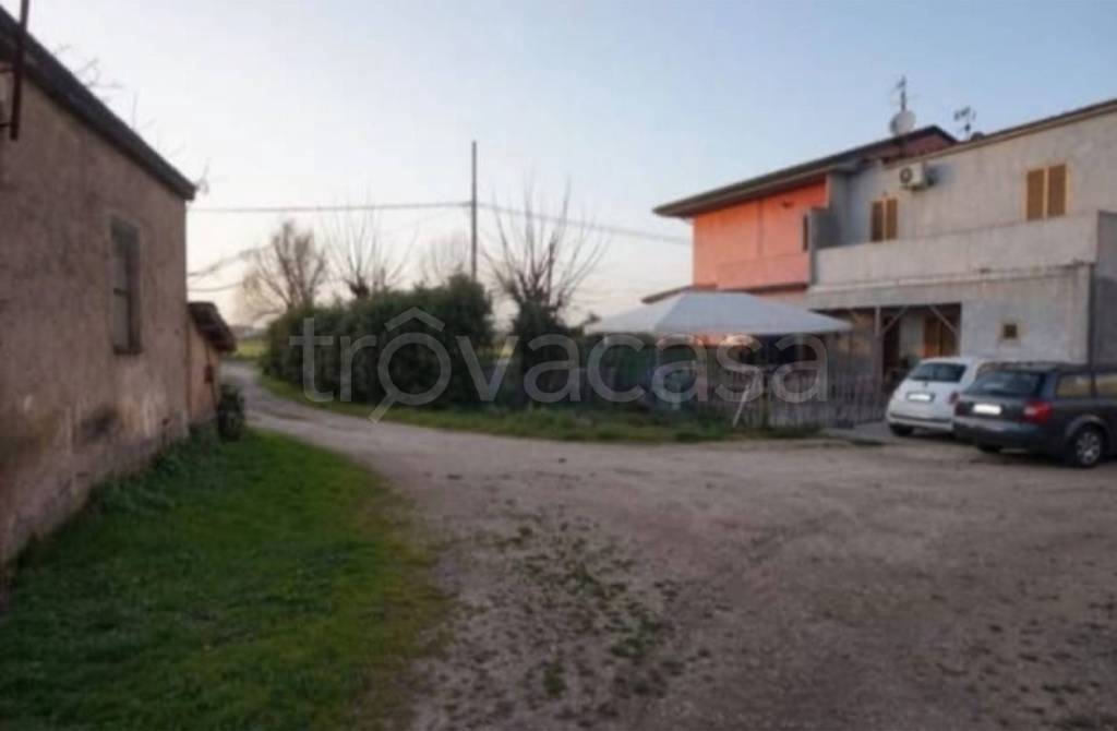 immagine annuncio 11 di 14