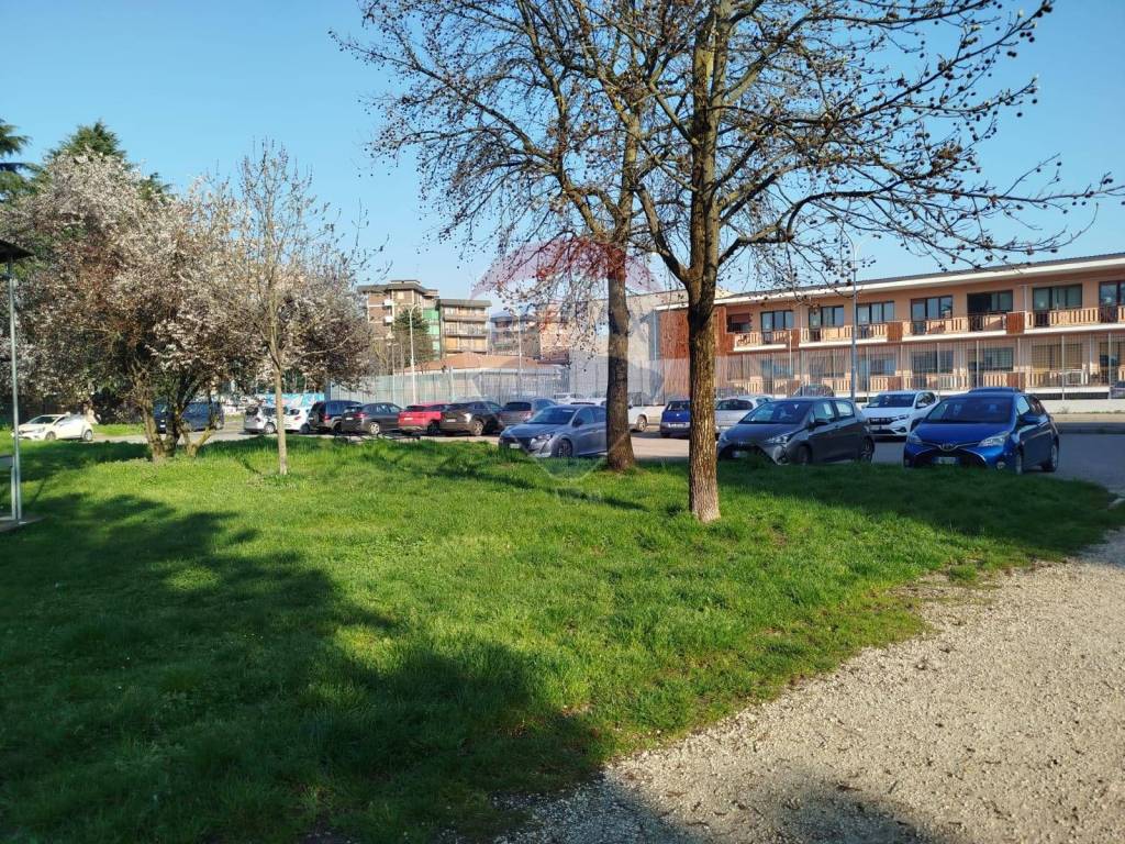 immagine annuncio 3 di 12
