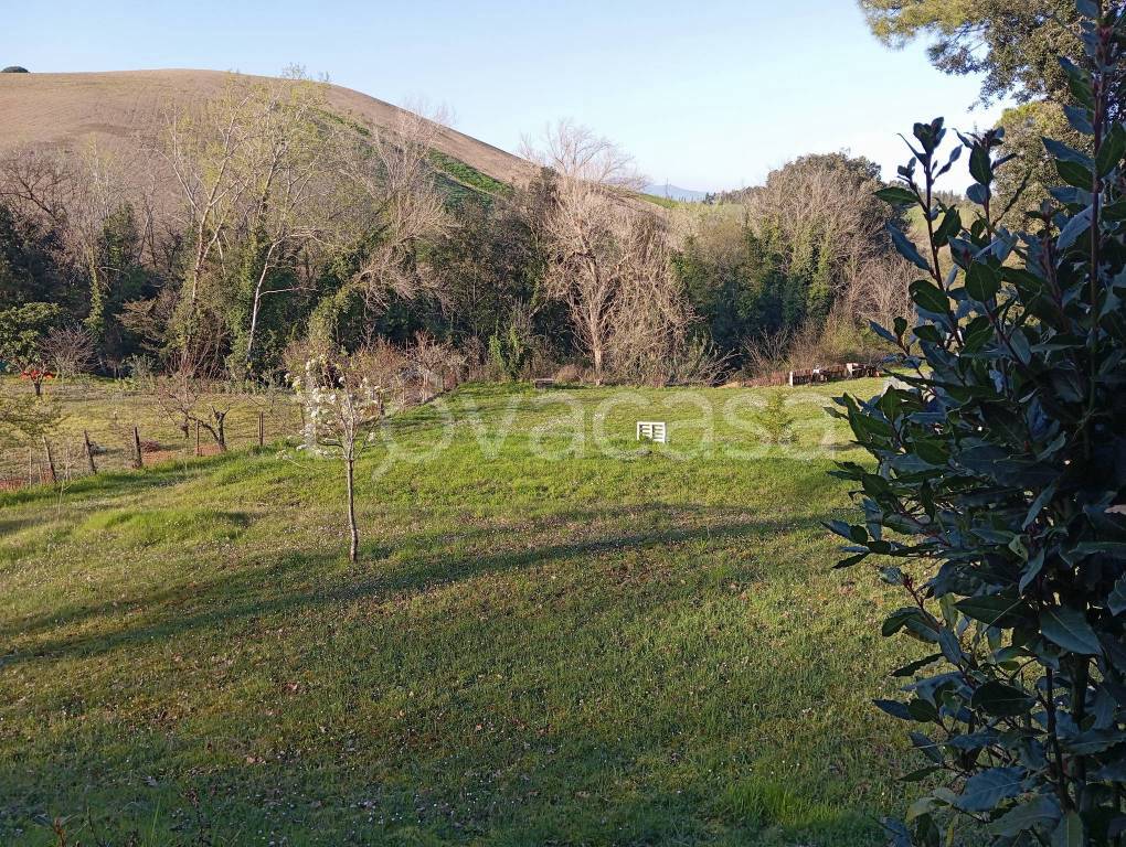 immagine annuncio 4 di 8