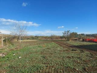 Terreno agricolo in vendita ad altino via benedetto croce s.n.c.