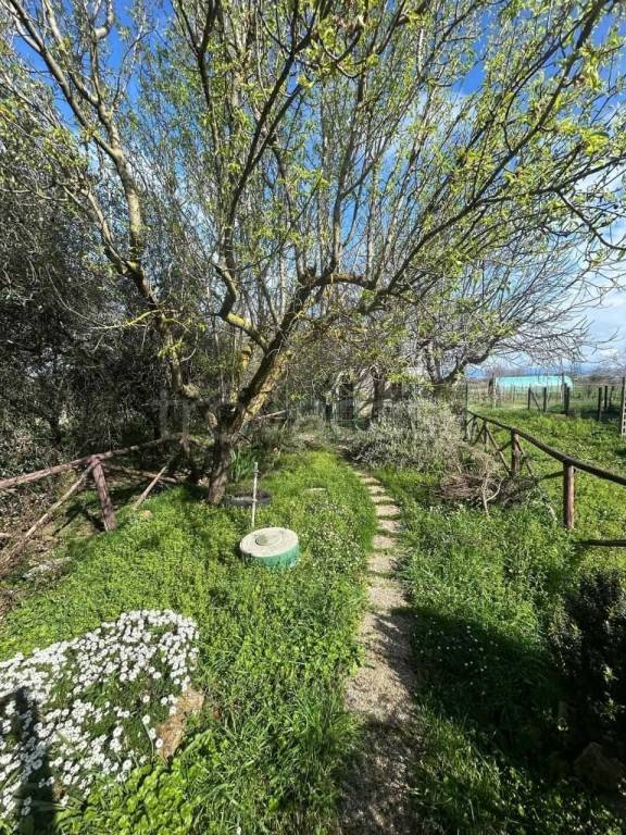 immagine annuncio 8 di 14