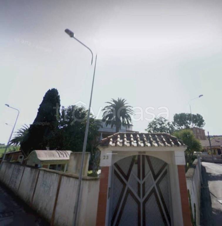 immagine annuncio 12 di 13