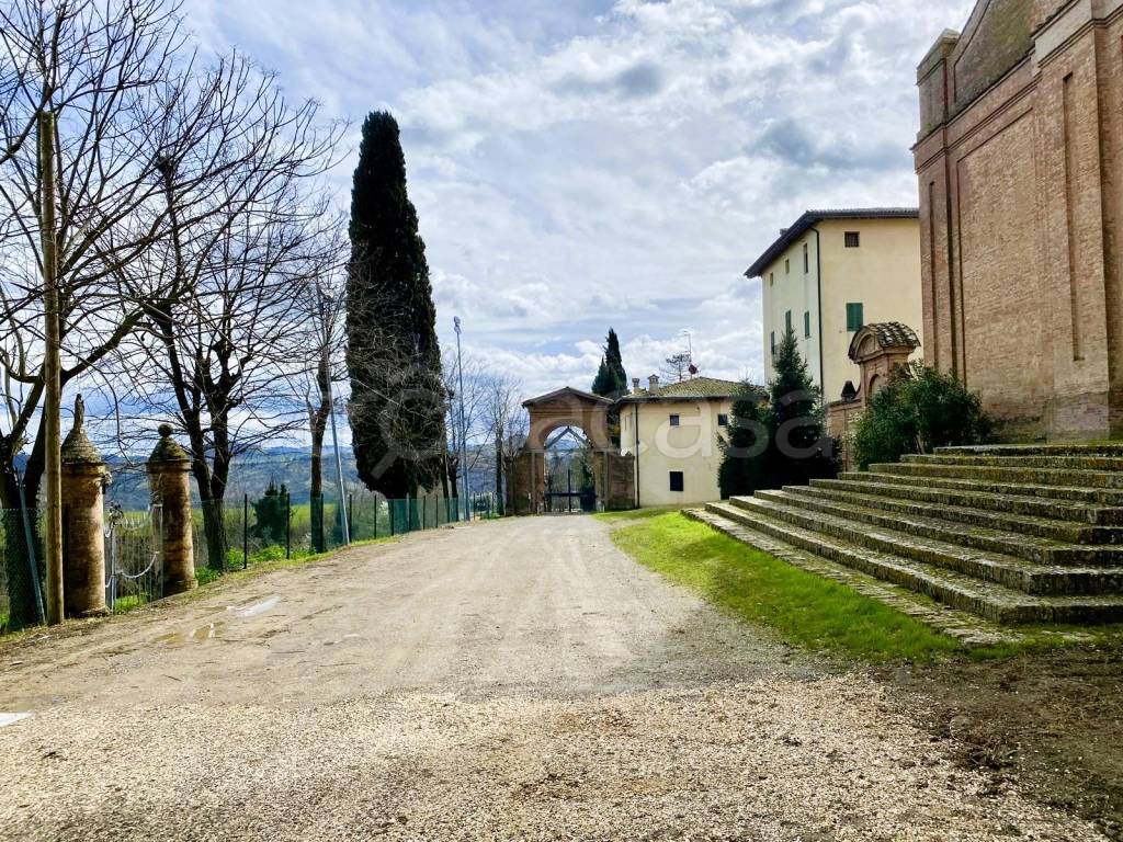 immagine annuncio 11 di 14