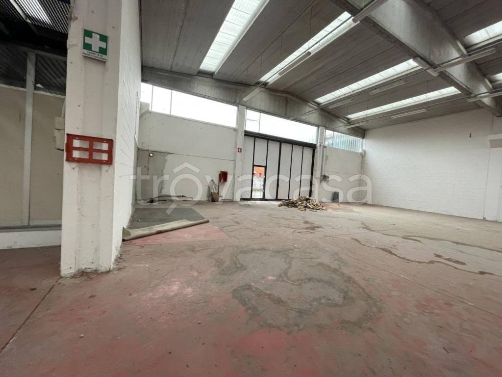 immagine annuncio 5 di 9