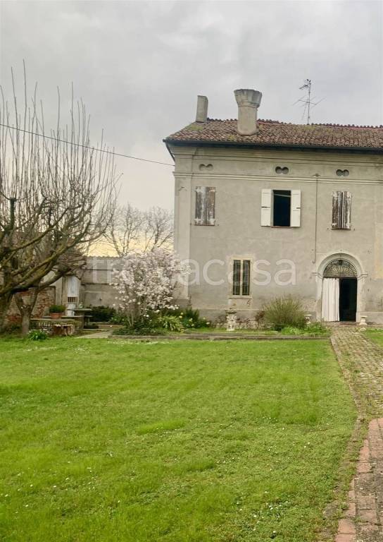 immagine annuncio 11 di 12