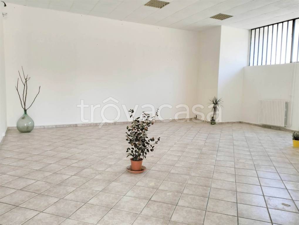 immagine annuncio 2 di 12