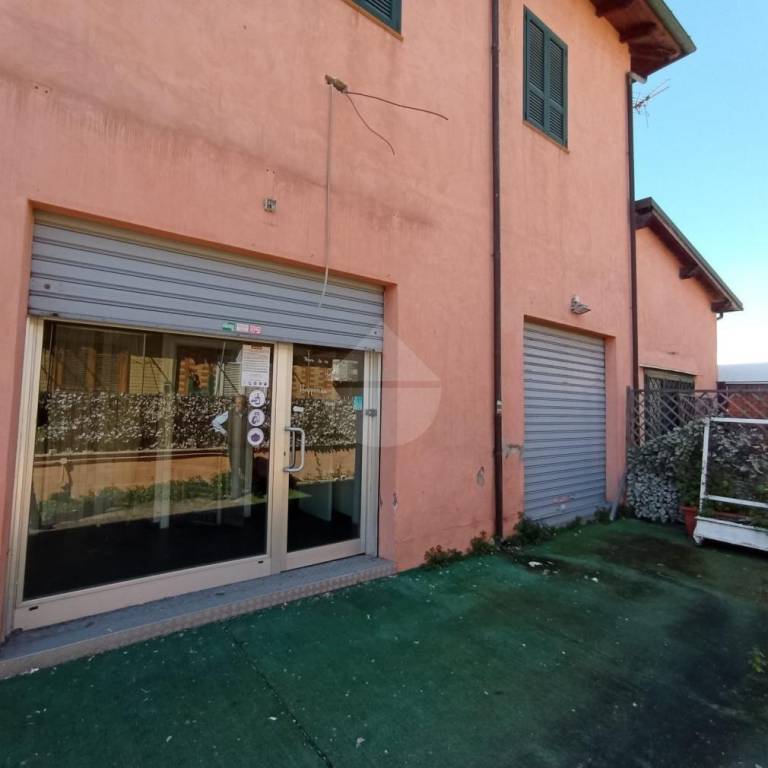 immagine annuncio 1 di 14