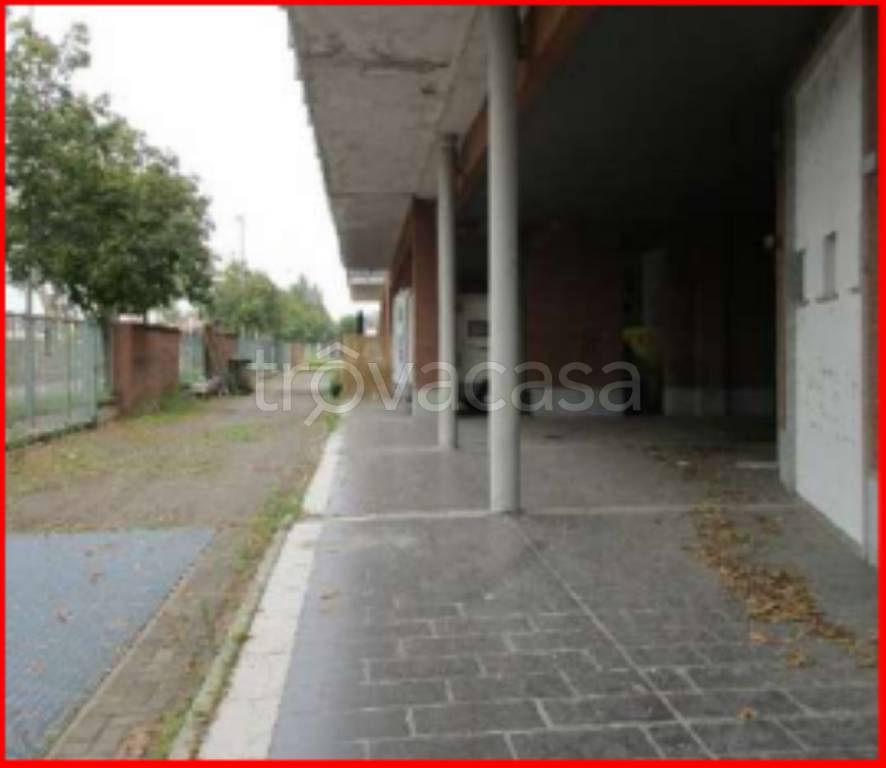 immagine annuncio 3 di 12