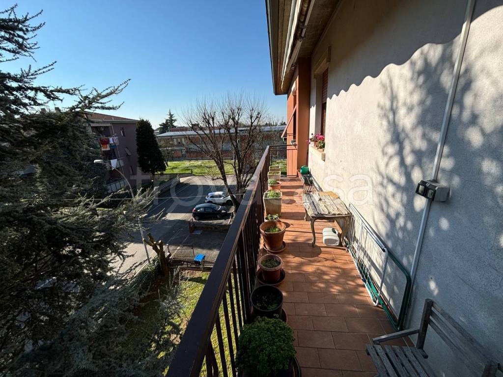 immagine annuncio 9 di 14