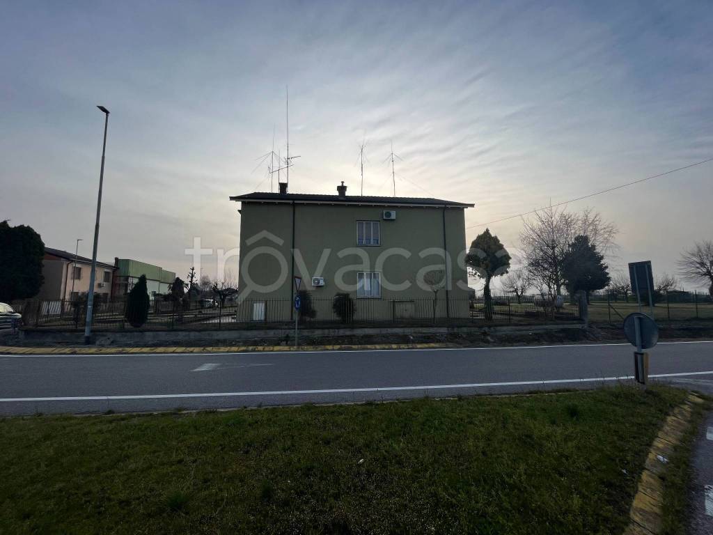immagine annuncio 3 di 12