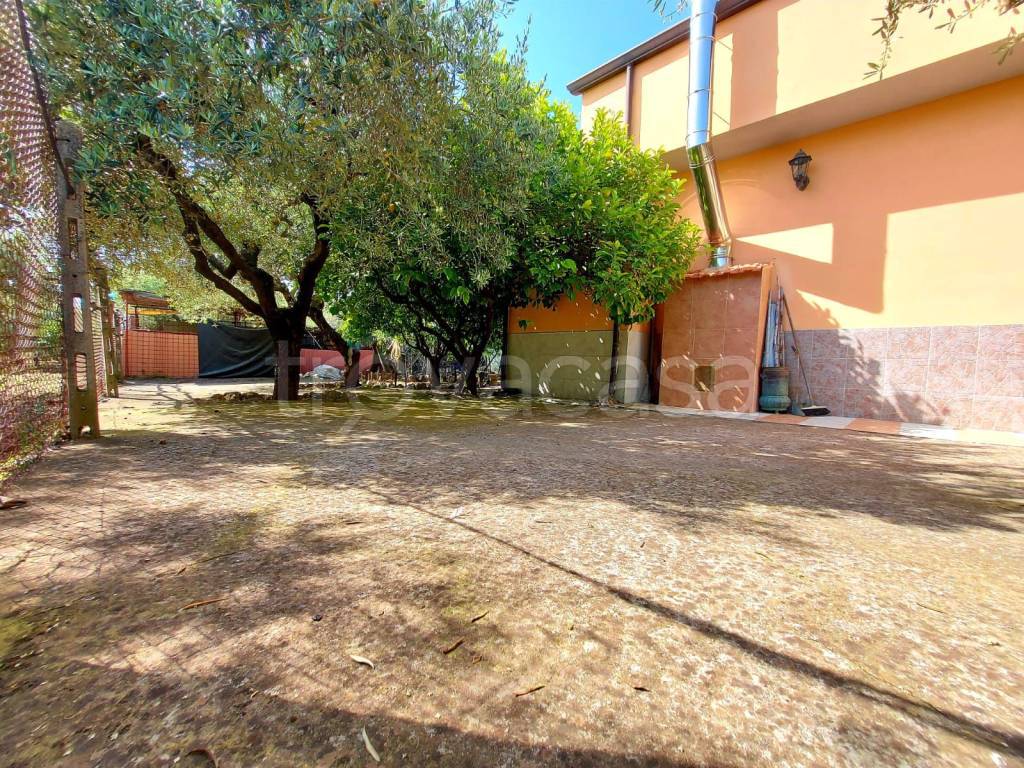 immagine annuncio 1 di 14