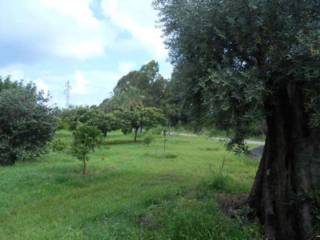 Terreno agricolo all'asta a filadelfia contrada croce